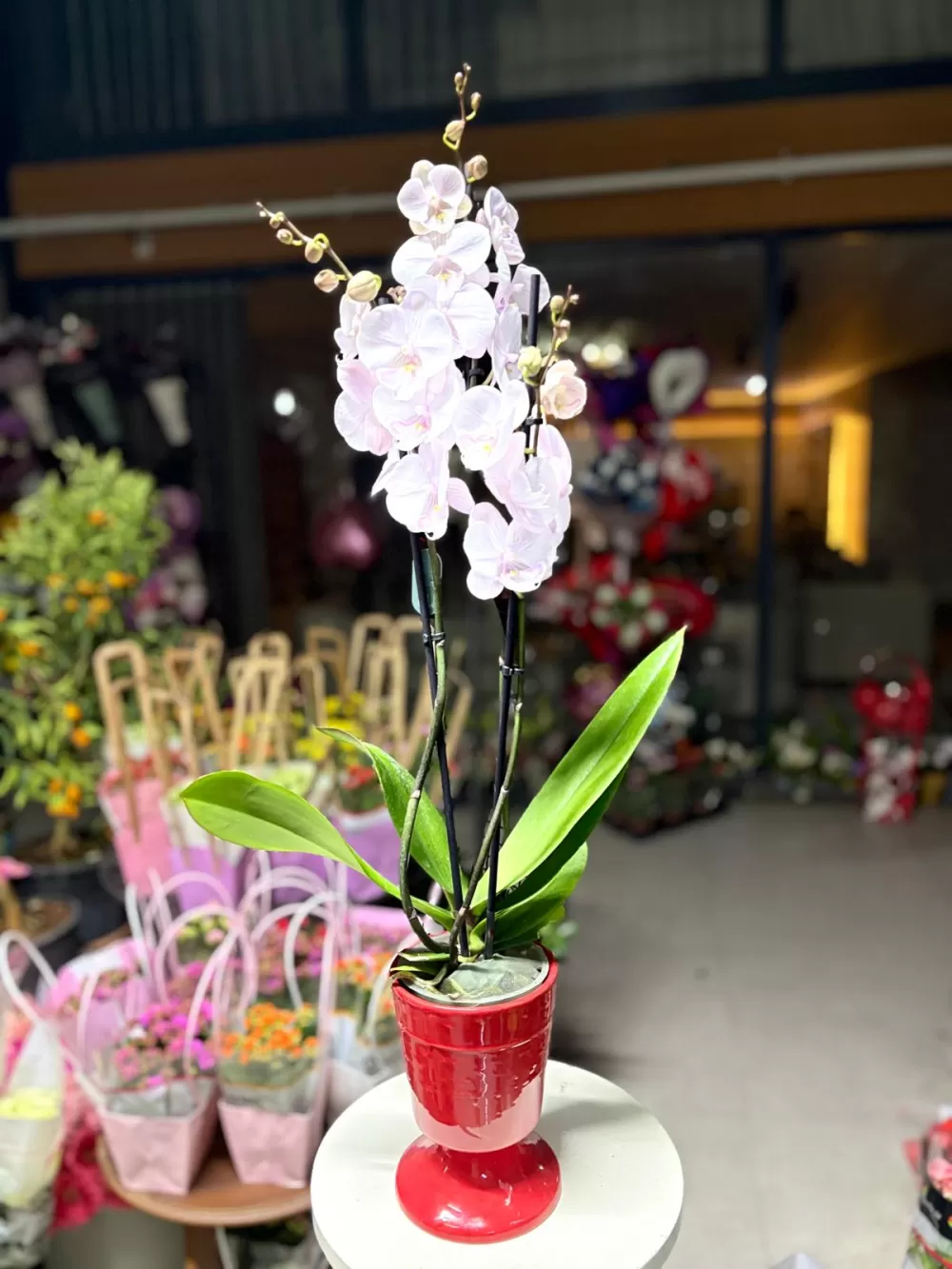 Çağdaş Çiçekçilik’ten 14 Şubat’a özel dev koleksiyon!