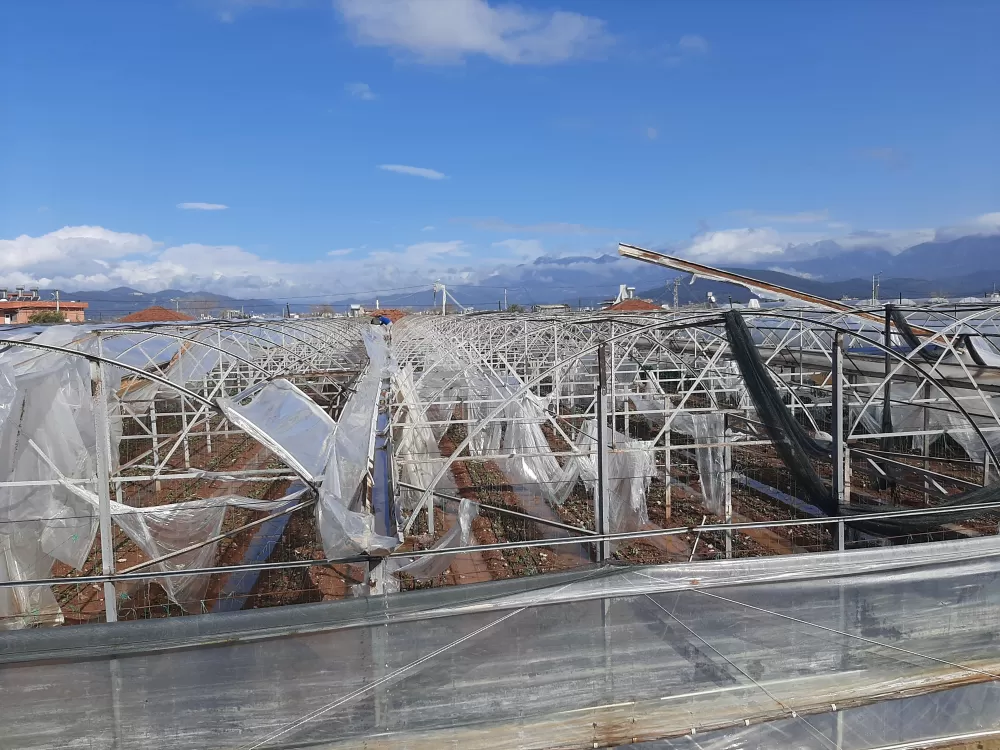 Kumluca'da hortum seraları parçaladı