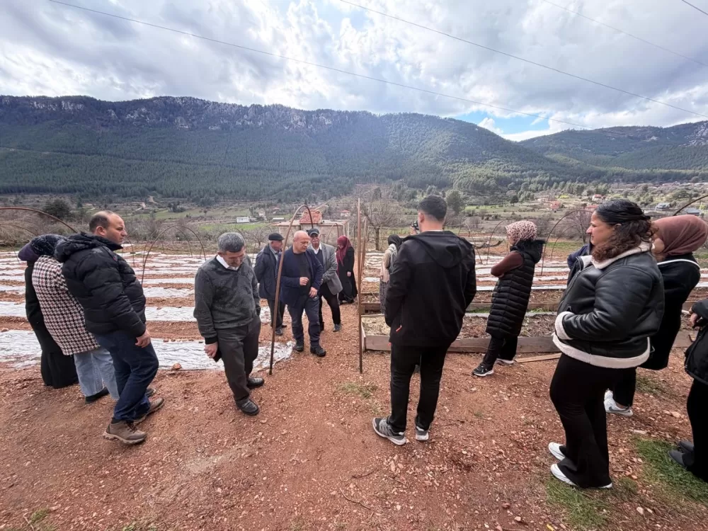 Bucak'ta salep üretim eğitimi Kursiyerler sahaya indi