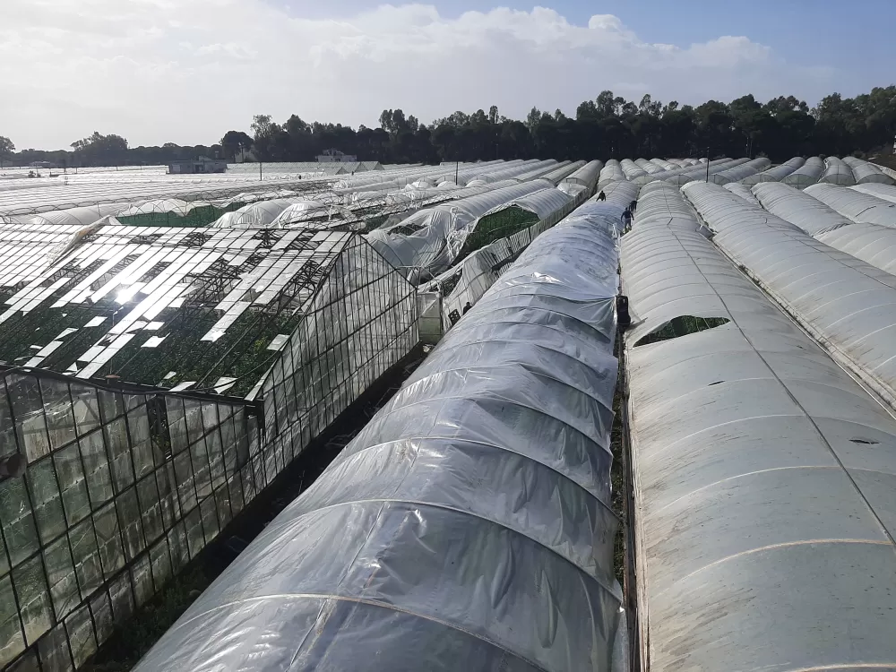 Kumluca'da hortum seraları parçaladı