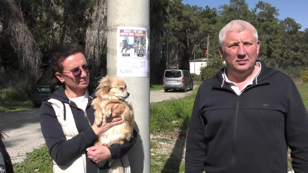 Kemer’de kaybolan köpekler için 100 bin TL ödül Takip cihazı o alanda bulundu