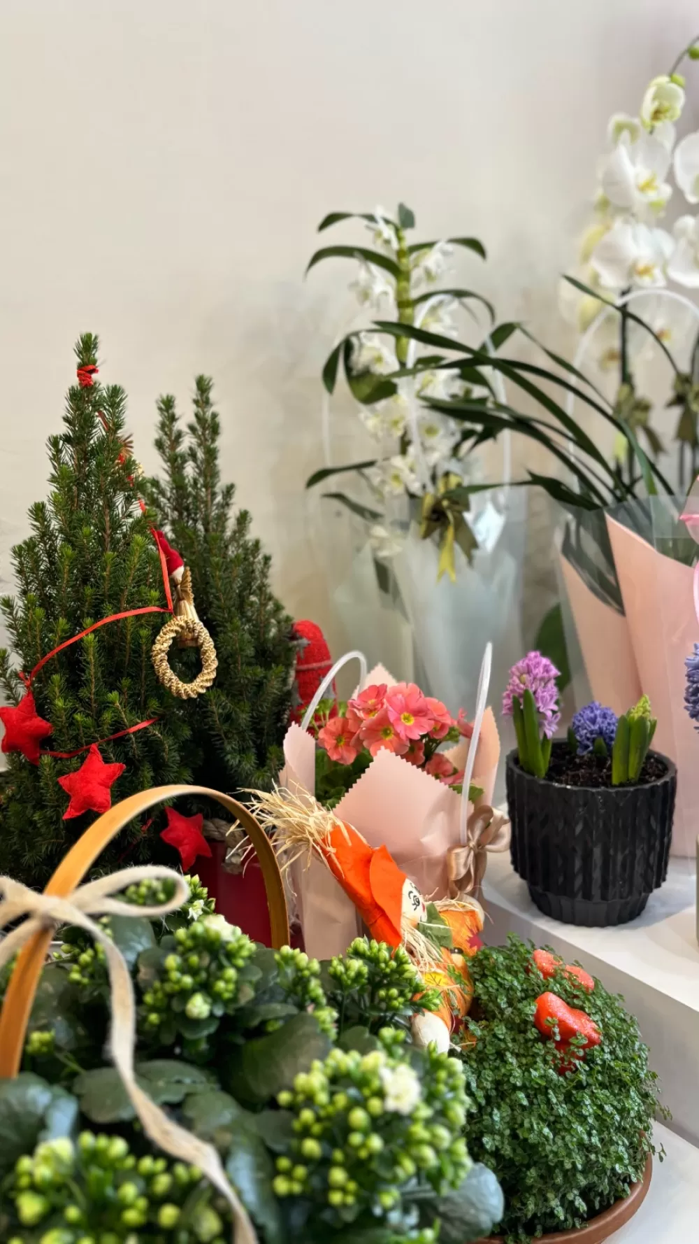 Bucak’ta aşkın yeni adresi Lotus Flower kapılarını açtı 14 Şubat'a anlam katın