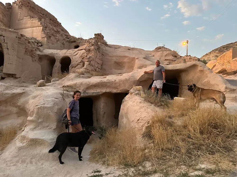 Kemer’de kaybolan köpekler için 100 bin TL ödül Takip cihazı o alanda bulundu