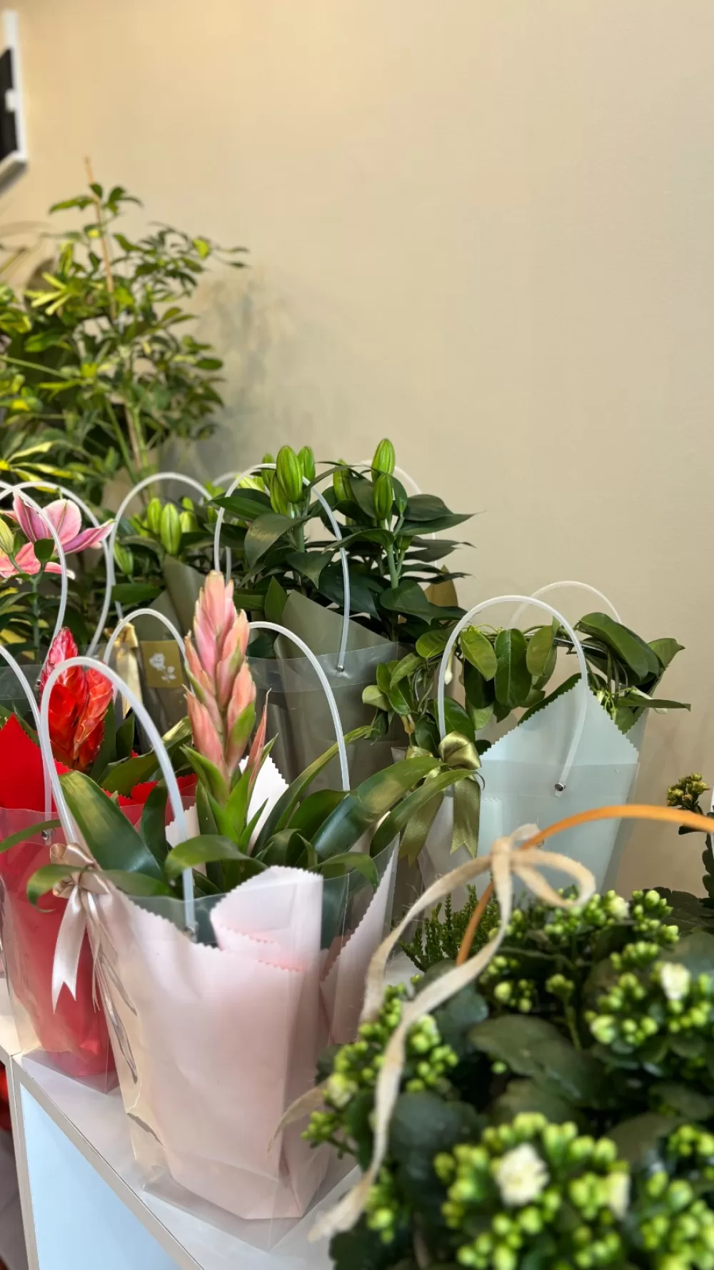 Bucak’ta aşkın yeni adresi Lotus Flower kapılarını açtı 14 Şubat'a anlam katın