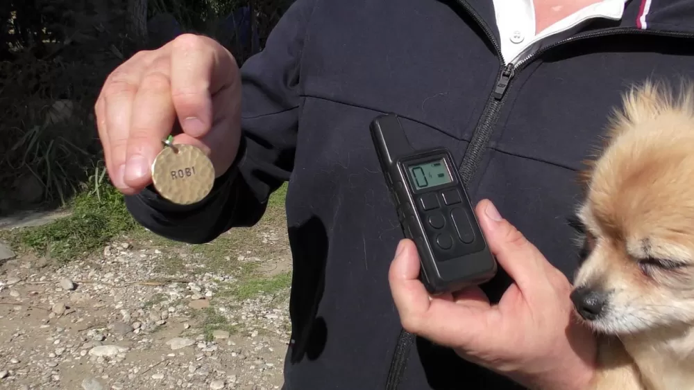 Kemer’de kaybolan köpekler için 100 bin TL ödül Takip cihazı o alanda bulundu