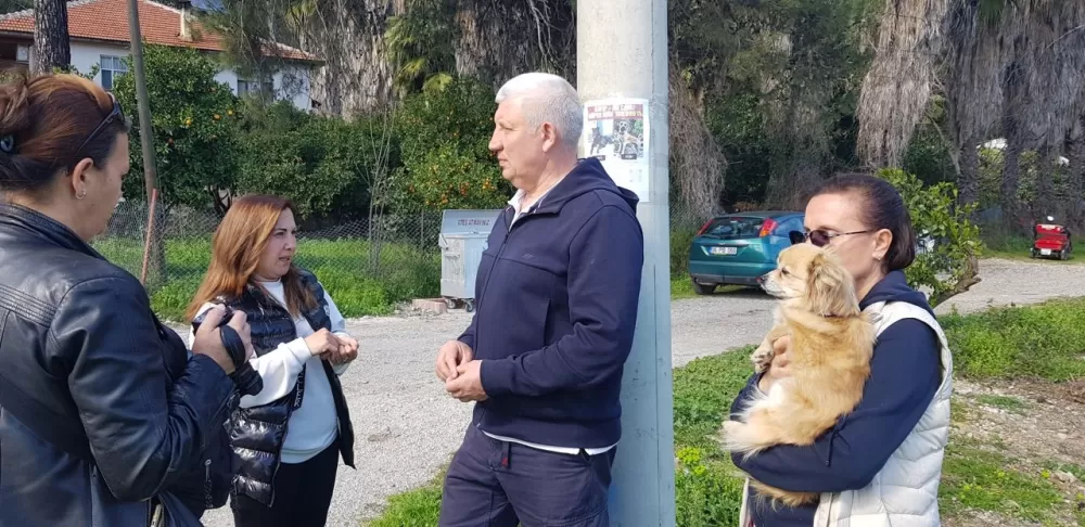 Kemer’de kaybolan köpekler için 100 bin TL ödül Takip cihazı o alanda bulundu