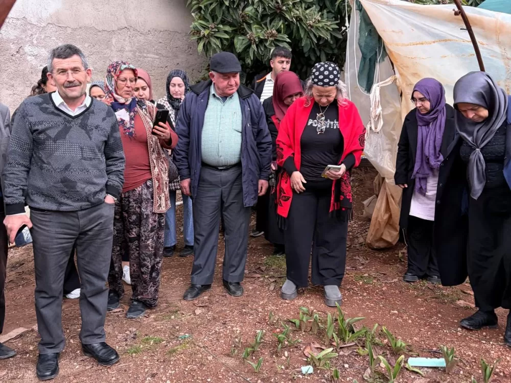 Bucak'ta salep üretim eğitimi Kursiyerler sahaya indi