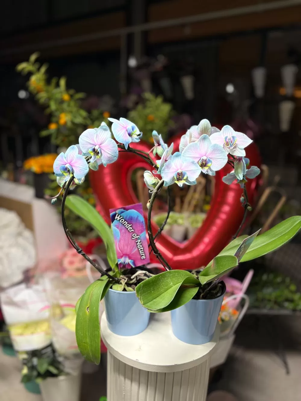 Çağdaş Çiçekçilik’ten 14 Şubat’a özel dev koleksiyon!