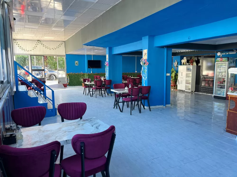 Kemal Usta dur diyene kadar bitmez! Mezeleriyle 1 kilo hamsi 500 TL