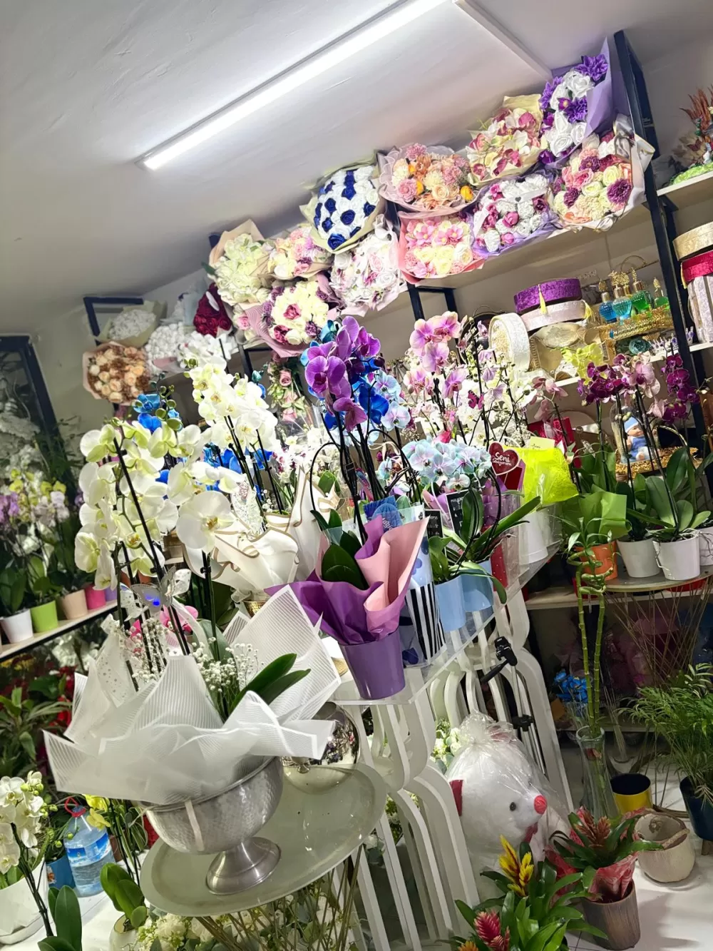 Çağdaş Çiçekçilik’ten 14 Şubat’a özel dev koleksiyon!