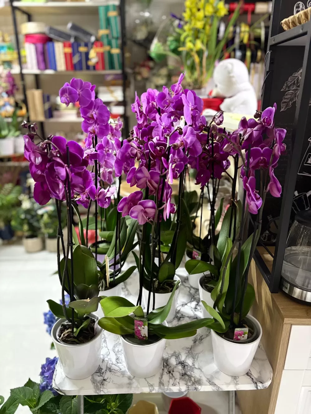 Çağdaş Çiçekçilik’ten 14 Şubat’a özel dev koleksiyon!