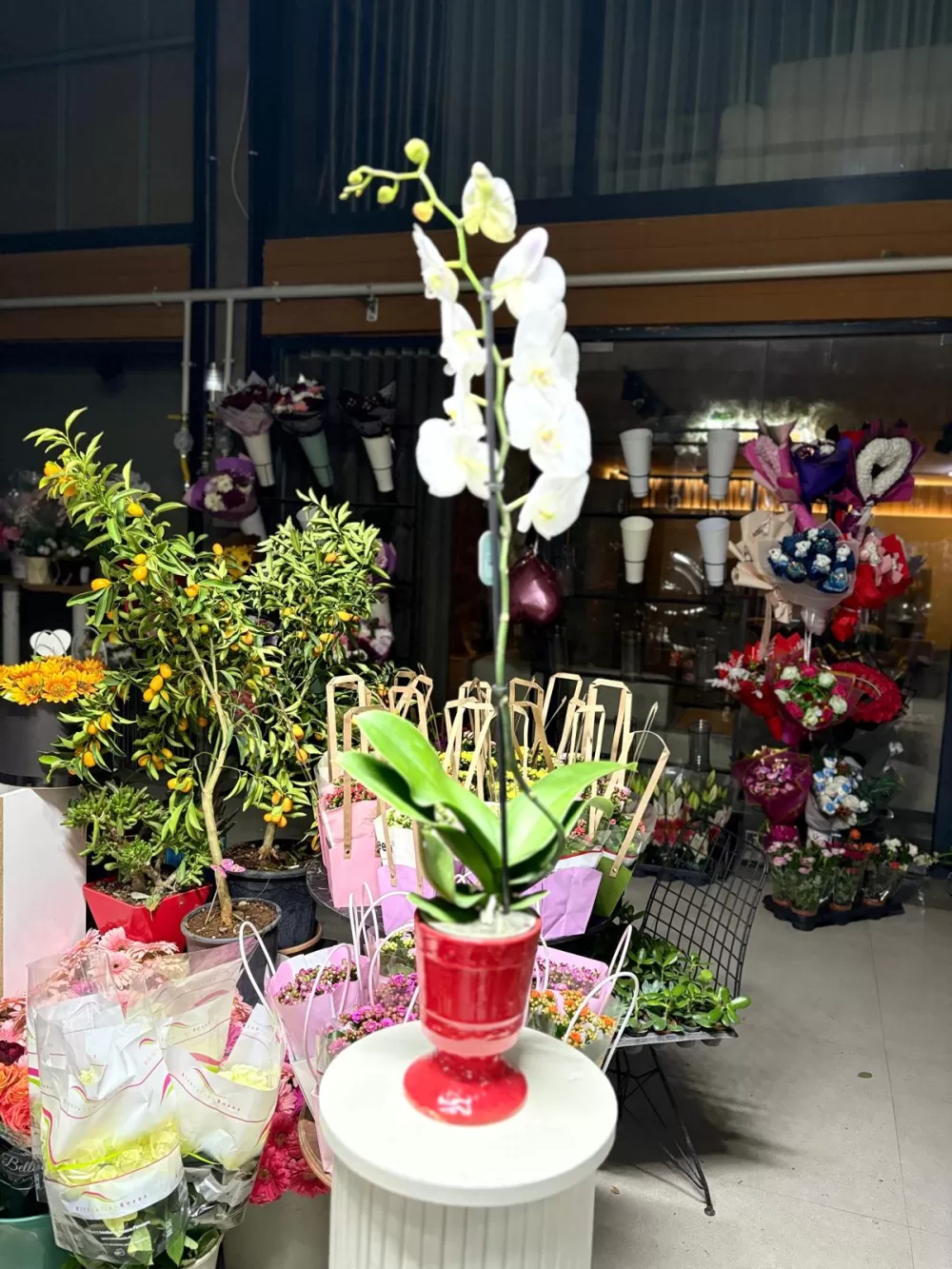 Çağdaş Çiçekçilik’ten 14 Şubat’a özel dev koleksiyon!