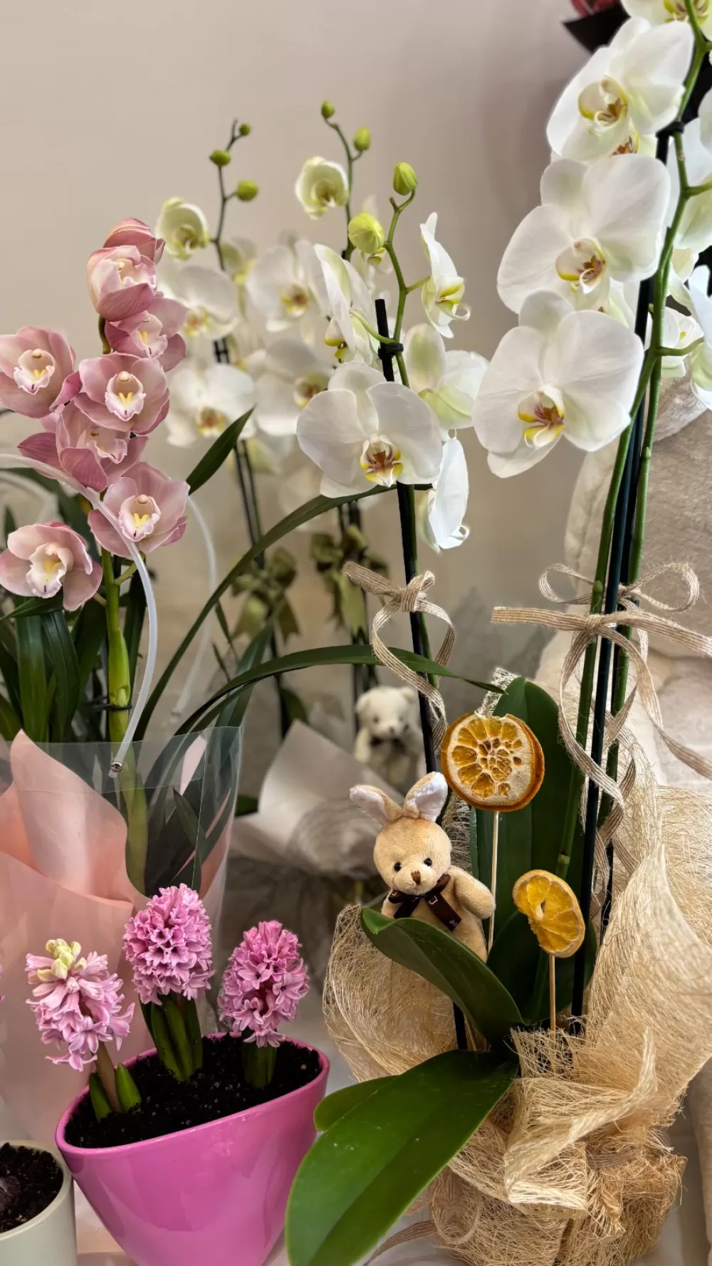 Bucak’ta aşkın yeni adresi Lotus Flower kapılarını açtı 14 Şubat'a anlam katın