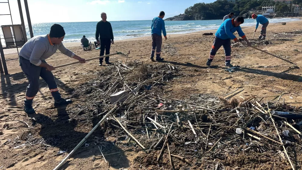 Alanya'da fırtına sonrası plajlarda temizlik yapıldı