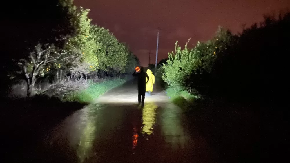 Antalya'da sel sularının bastığı barınakta mahsur kalan 27 köpek botlarla kurtarıldı