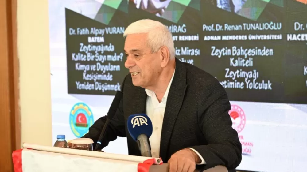 Antalya'da zeytinlik alan 20 yılda 2 katına çıktı