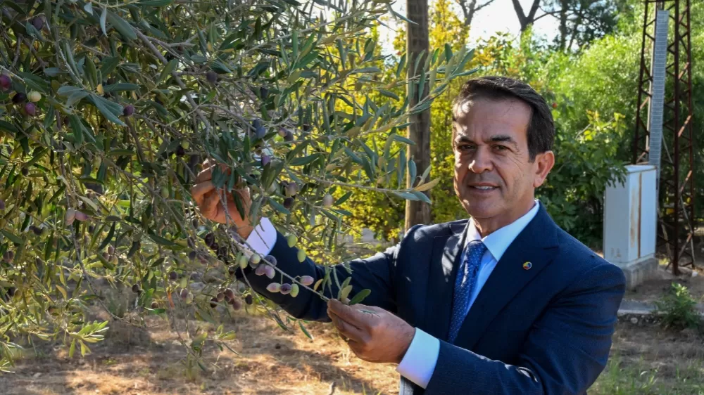 Antalya zeytinyağını markalaştıracak 30 öneri