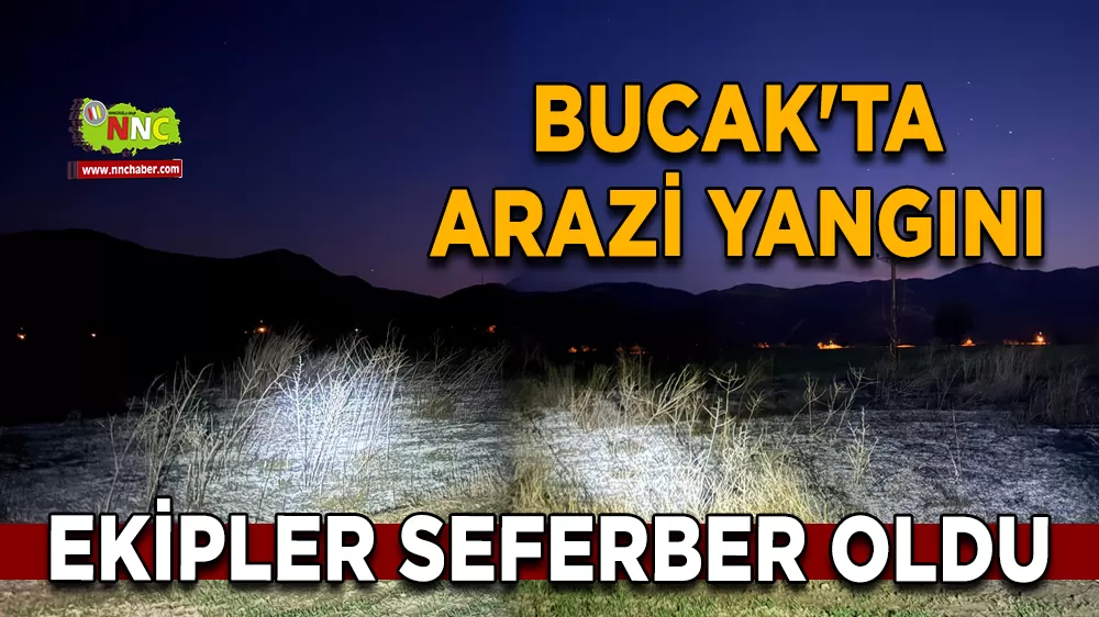 Bucak'ta arazi yangını Ekipler seferber oldu
