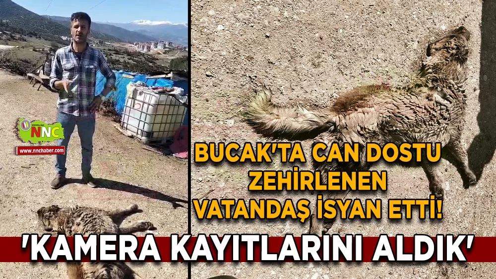 Bucak'ta can dostu zehirlenen vatandaş isyan etti! 'Kamera kayıtlarını aldık'