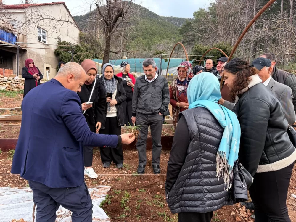 Bucak'ta salep üretim eğitimi Kursiyerler sahaya indi