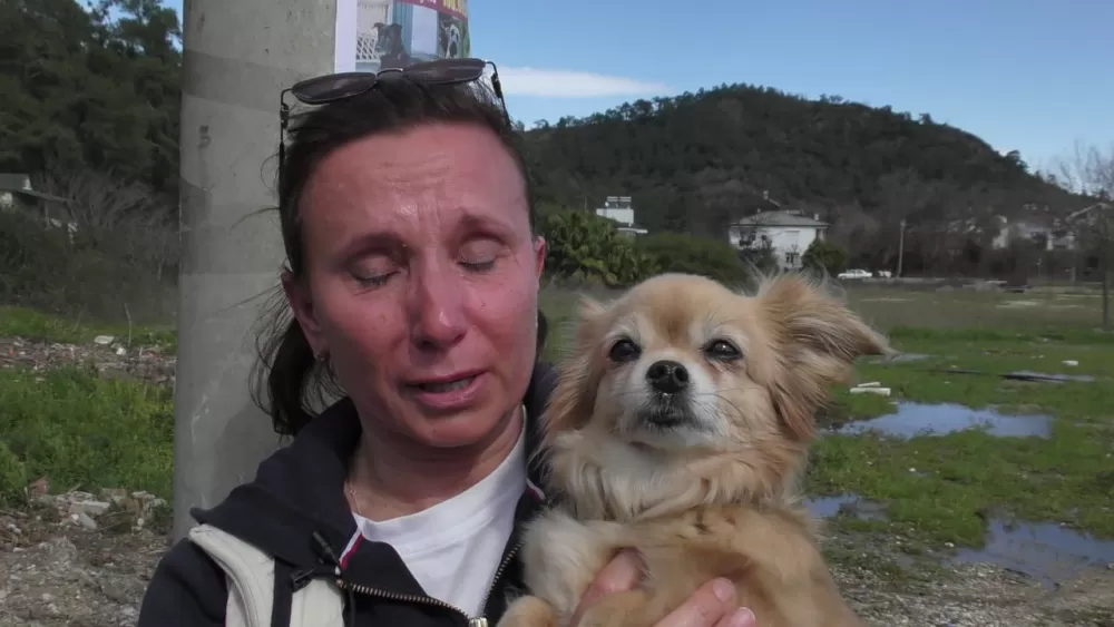 Kemer’de kaybolan köpekler için 100 bin TL ödül Takip cihazı o alanda bulundu