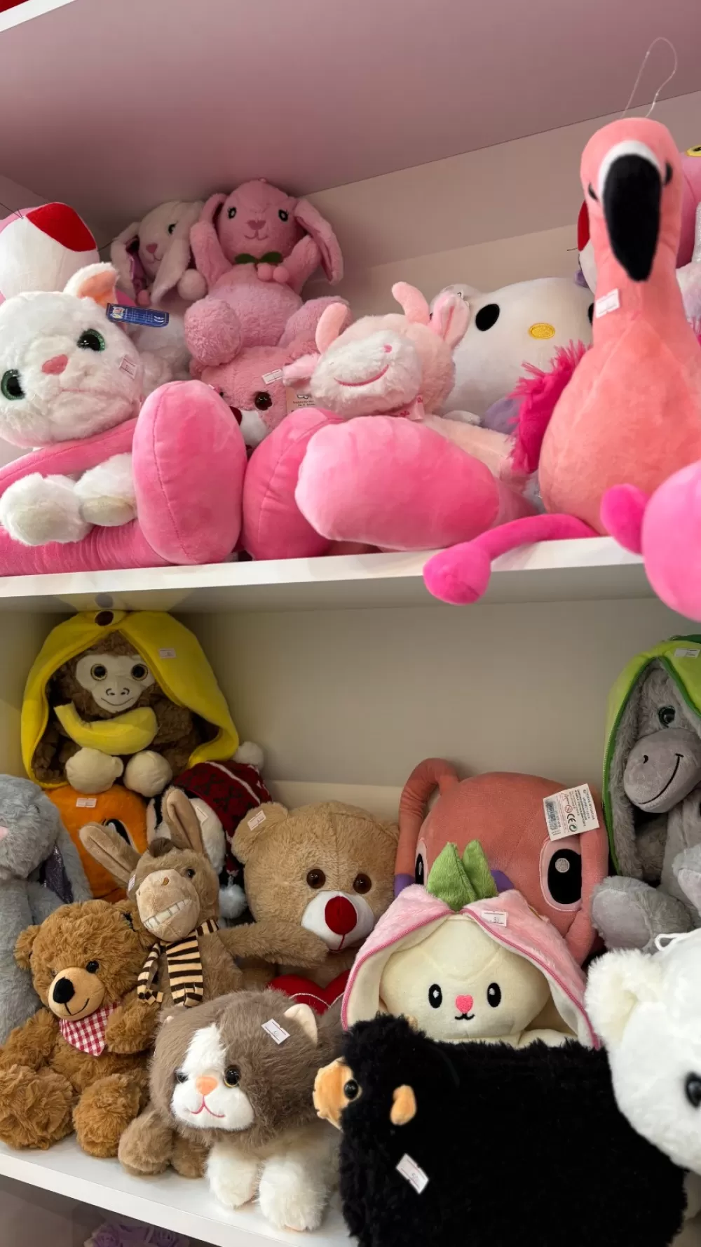 Bucak’ta aşkın yeni adresi Lotus Flower kapılarını açtı 14 Şubat'a anlam katın