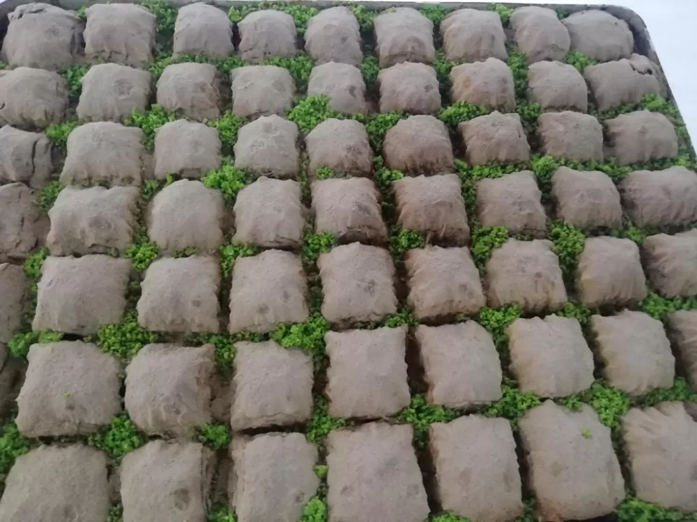 Anteplioğlu'ndan Ramazan'a özel 'Dondurma' jesti! Tatlı alana yarı fiyatına