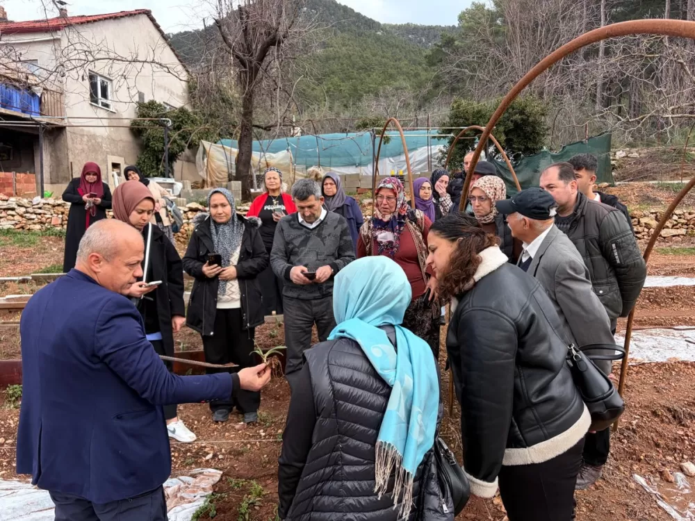 Bucak'ta salep üretim eğitimi Kursiyerler sahaya indi