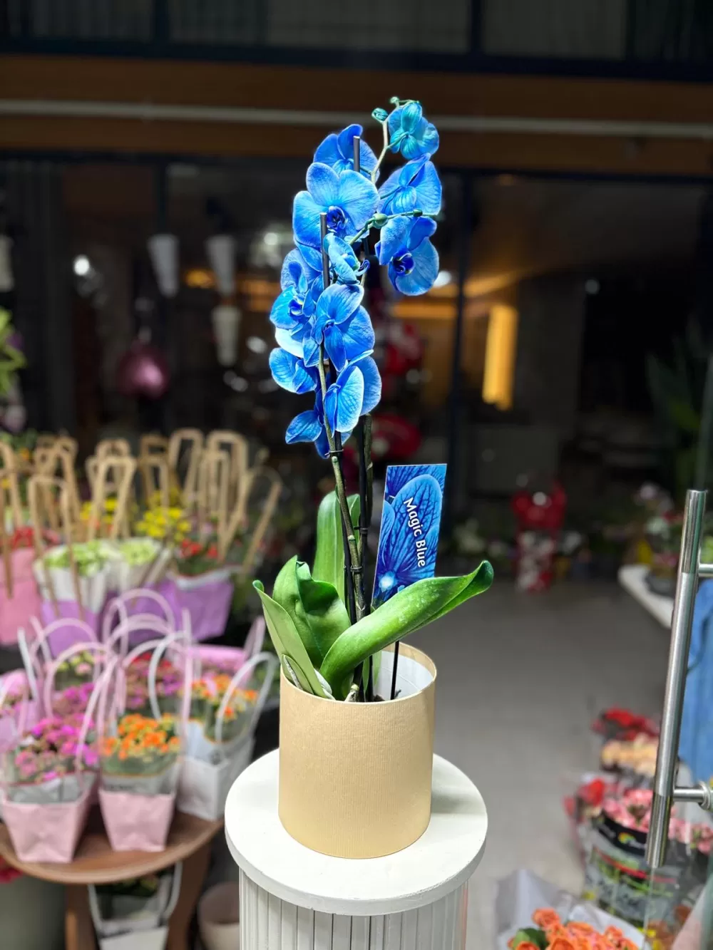 Çağdaş Çiçekçilik’ten 14 Şubat’a özel dev koleksiyon!