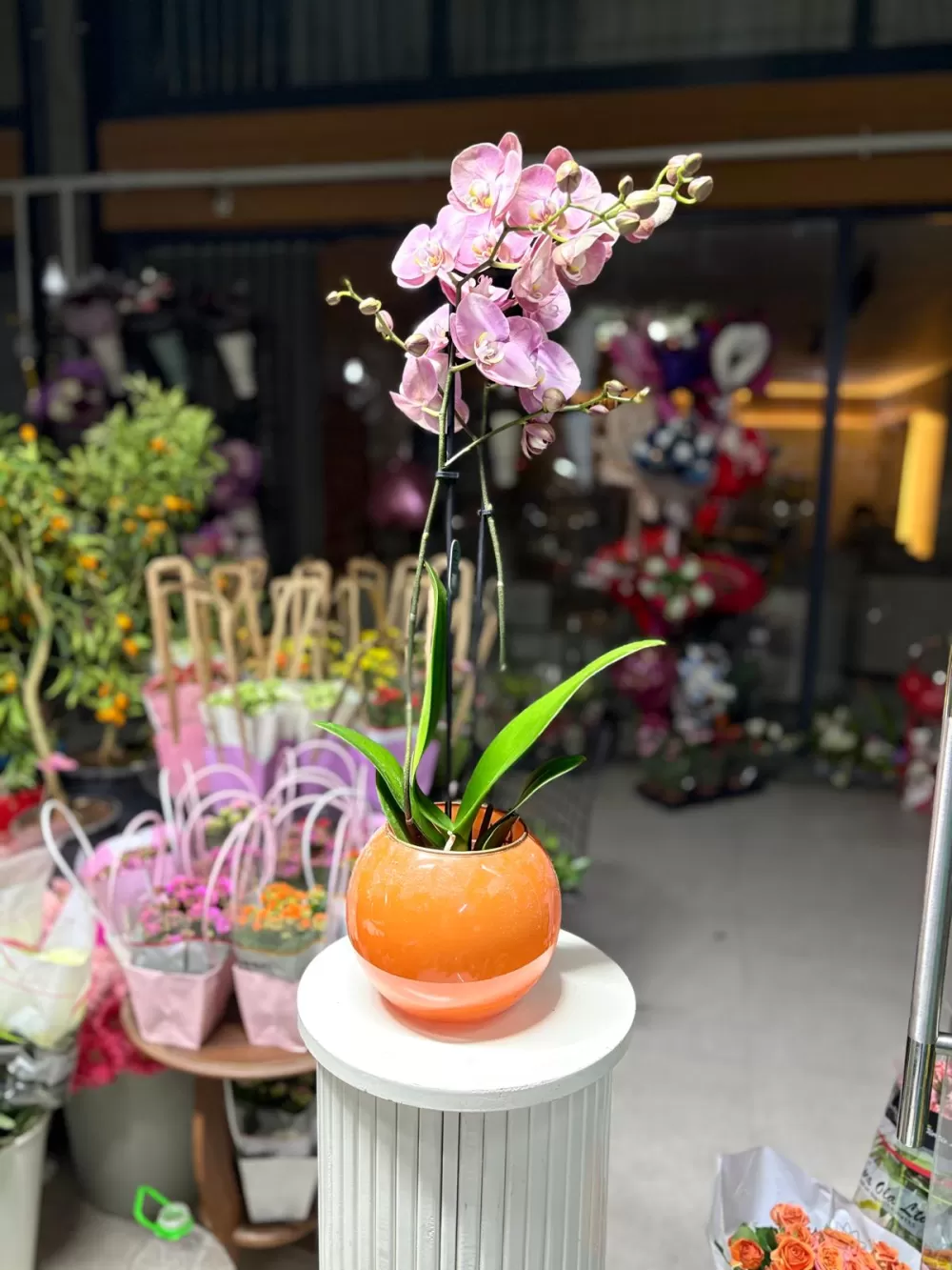 Çağdaş Çiçekçilik’ten 14 Şubat’a özel dev koleksiyon!