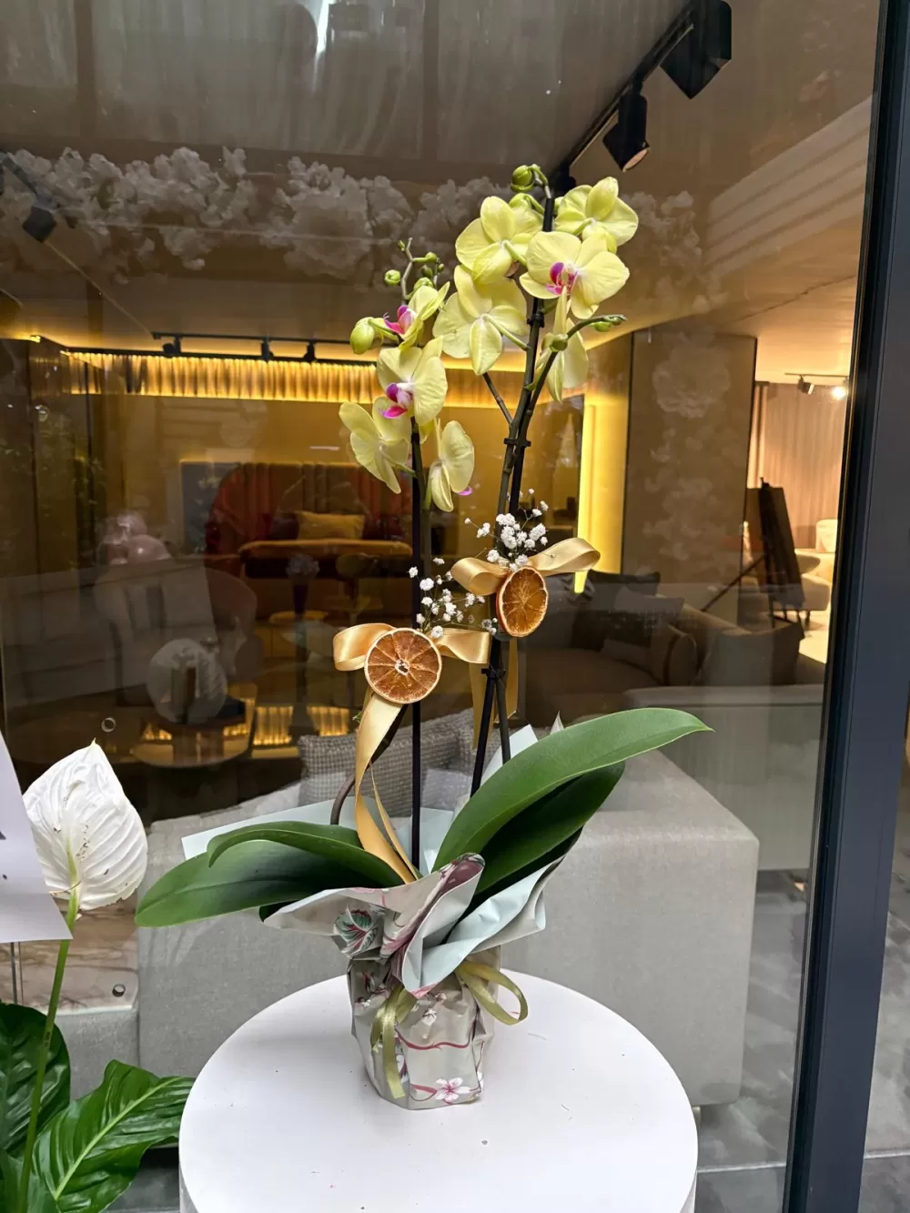 Çağdaş Çiçekçilik’ten 14 Şubat’a özel dev koleksiyon!