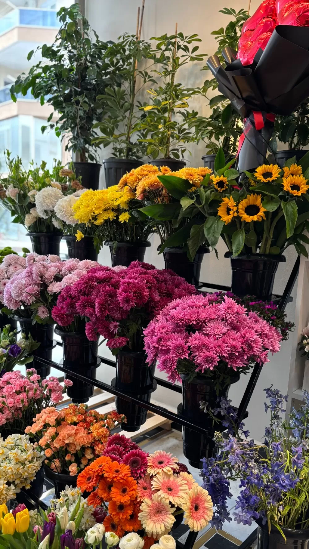 Bucak’ta aşkın yeni adresi Lotus Flower kapılarını açtı 14 Şubat'a anlam katın