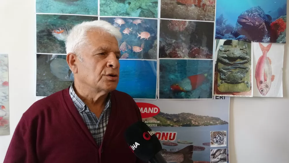 Antalya Körfezi'nde dev denizanası alarmı 10 kiloluk istila başladı