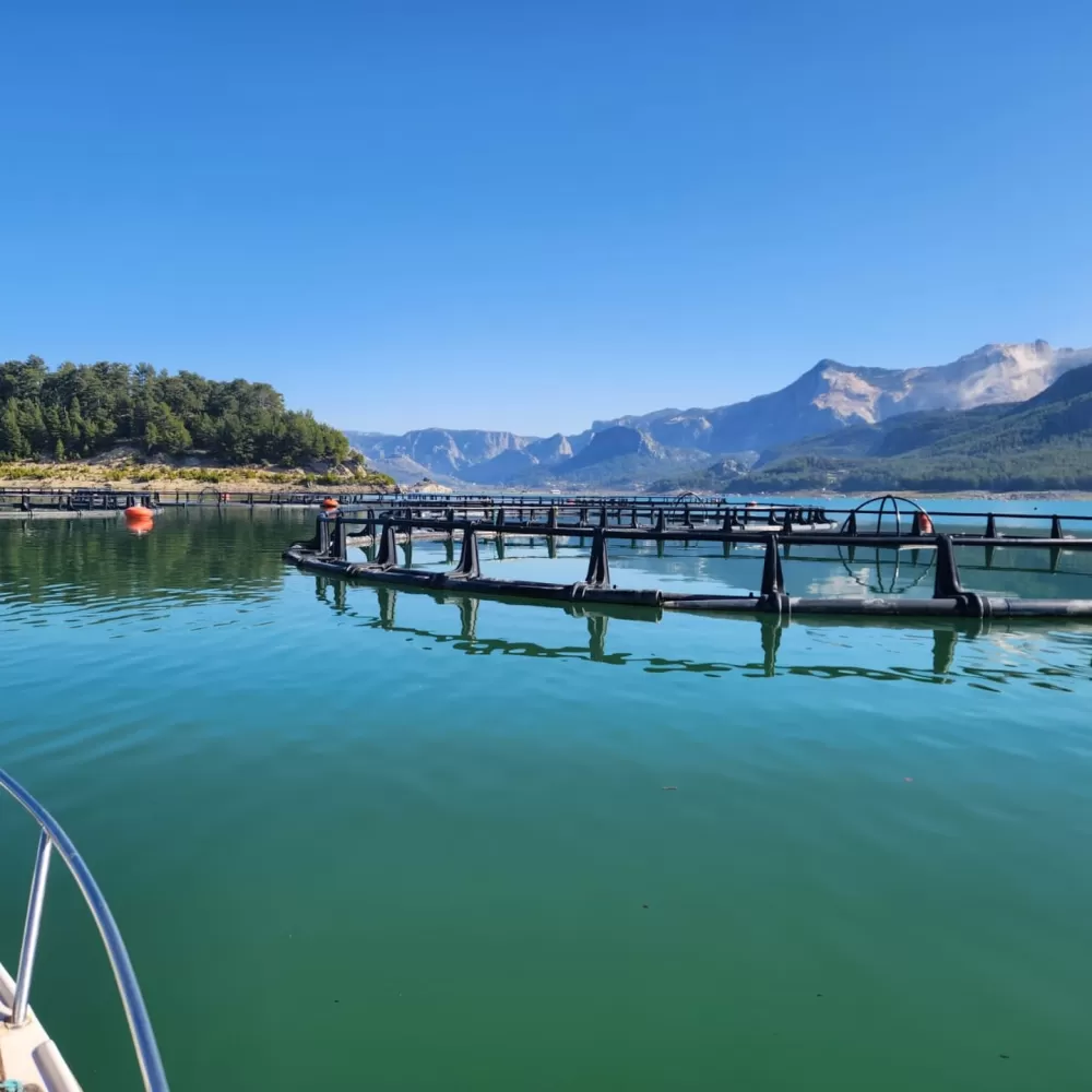 Karacaören’de kaçak avcılığa geçit yok Bucak'ta geniş çaplı denetim