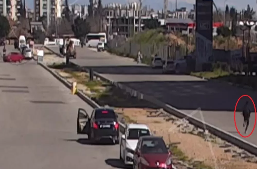 Antalya’da otomobile pompalı tüfekli saldırı 60 milyon TL’lik şantaj iddiası