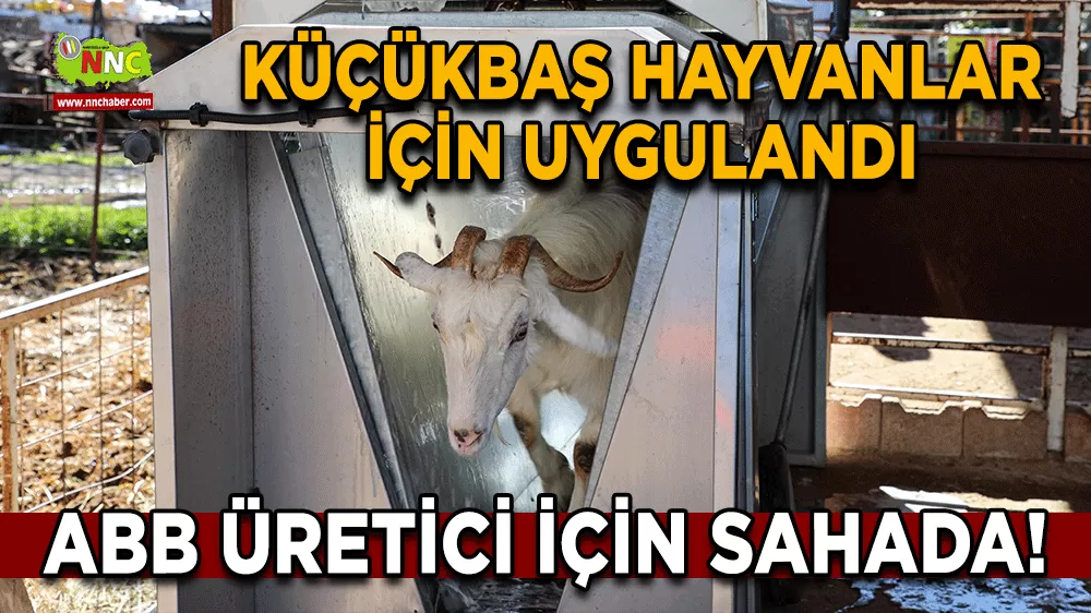 ABB üretici için sahada! Küçükbaş hayvanlar için uygulandı