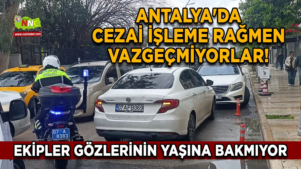 Antalya'da cezai işleme rağmen vazgeçmiyorlar! Ekipler gözlerinin yaşına bakmıyor