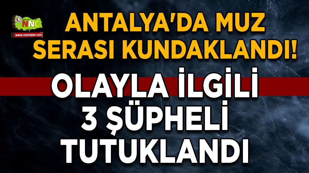 Antalya'da muz serası kundaklandı! Olayla ilgili 3 şüpheli tutuklandı
