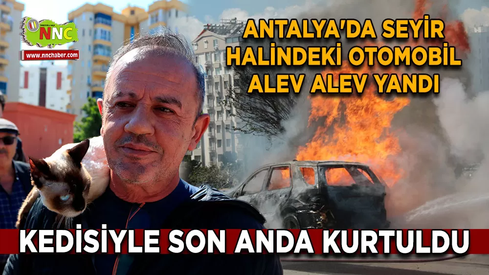 Antalya'da seyir halindeki otomobil alev alev yandı Sürücü kedisiyle son anda kurtuldu