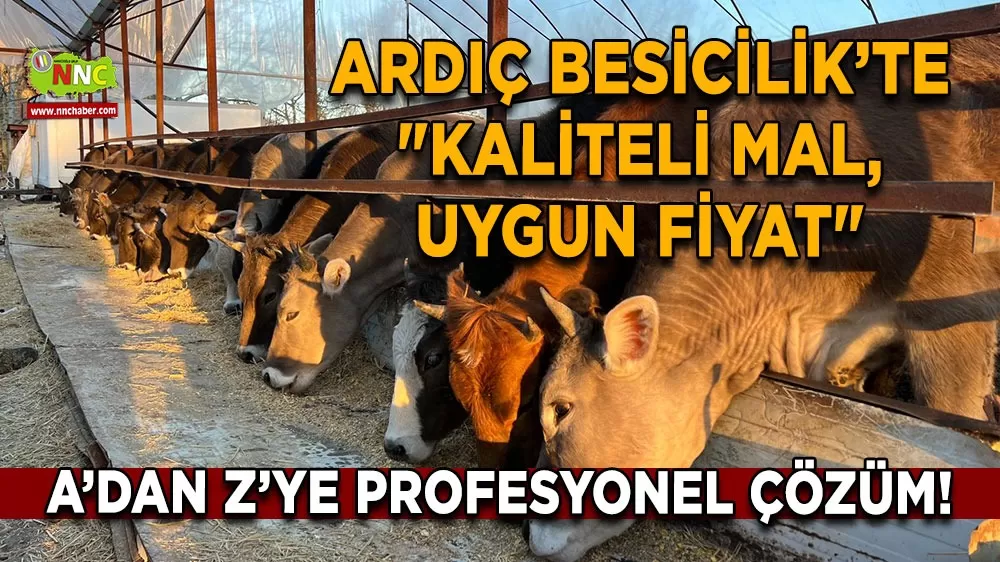 Ardıç Besicilik'te 'Kaliteli mal, uygun fiyat' A’dan Z’ye profesyonel çözüm!