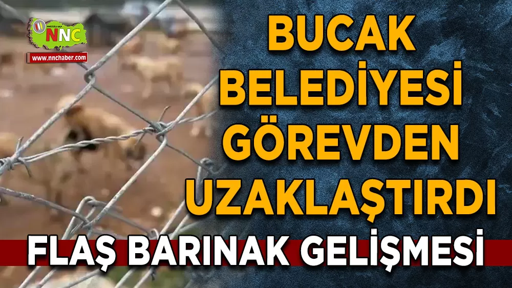 Bucak Belediyesi hayvan barınağındaki olayla ilgili personelleri görevden uzaklaştırdı