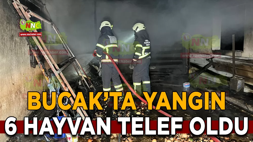 Bucak'ta ahır yangını 6 Küçükbaş hayvan telef oldu