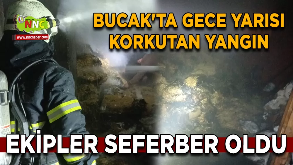 Bucak'ta gece yarısı korkutan yangın Ekipler seferber oldu