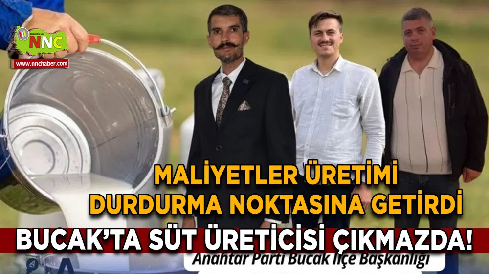 Bucak’ta süt üreticisi çıkmazda! Maliyetler üretimi durdurma noktasına getirdi