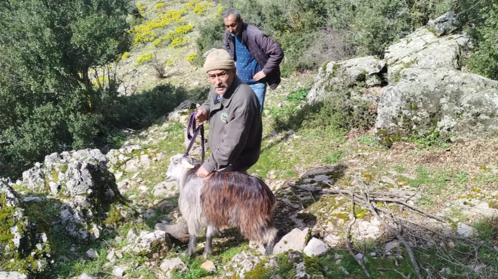 Burdur AFAD'dan Sarp Arazide Keçi Kurtarma Operasyonu