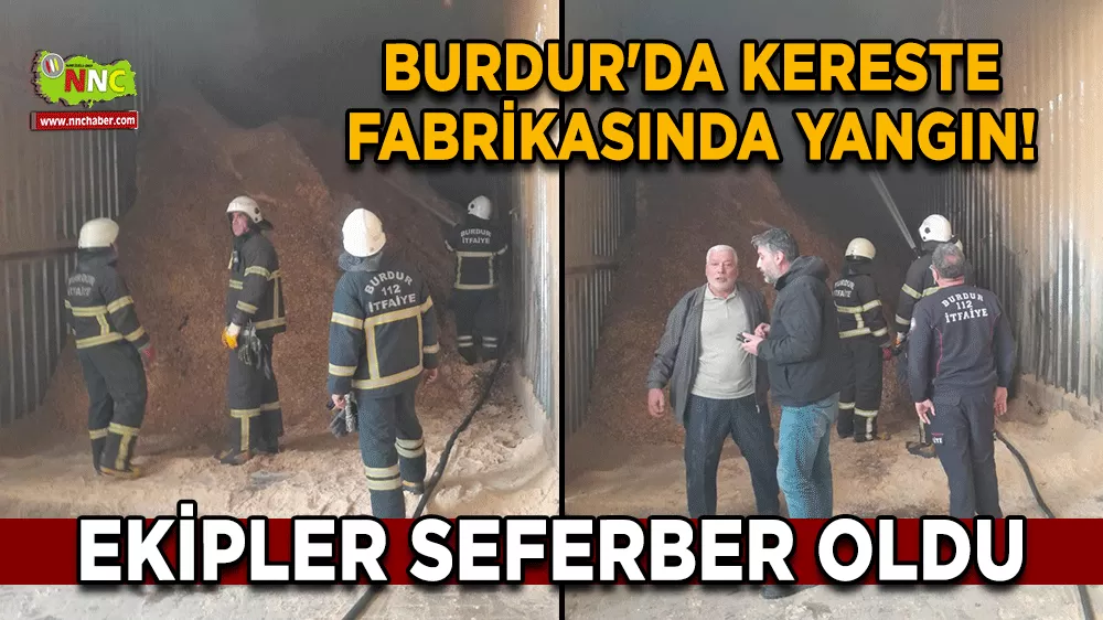 Burdur'da kereste fabrikasında yangın! Sıçramadan ekipler söndürdü
