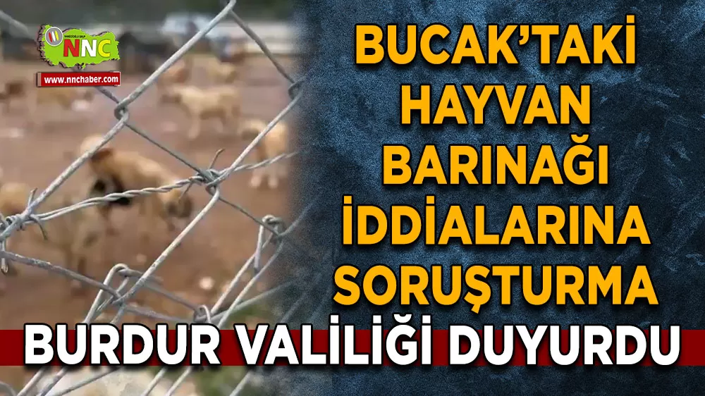 Burdur Valiliği Bucak’taki hayvan barınağı iddiaları hakkında soruşturma başlattı