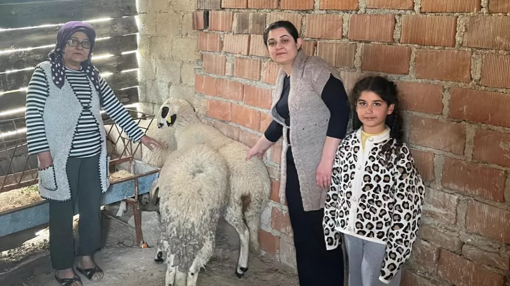 Denizli’de "Bereketli Sürüler" Projesi: Buldanlı Üreticiye Büyük Destek!