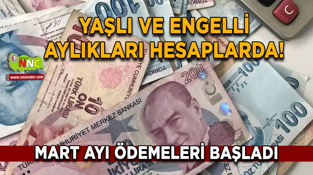 Mart ayı ödemeleri başladı Yaşlı ve engelli aylıkları hesaplarda!