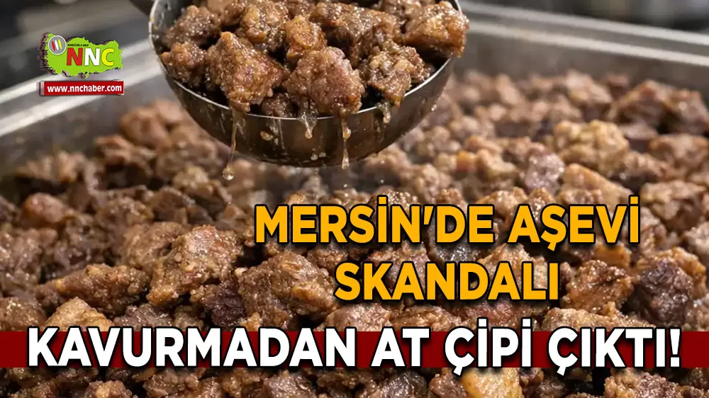 Mersin'de aşevi skandalı Kavurmadan at çipi çıktı!